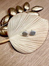 Load image into Gallery viewer, Seashell Stud